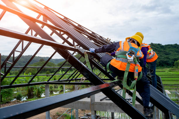 Best Roof Gutter Cleaning  in Matteson, IL